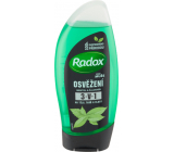Radox Men Strong Mint & Tea Tree 2 in 1 shower gel and shampoo for men 250 ml