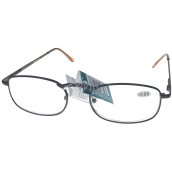 Berkeley Reading glasses +3.0 brown metal 1 piece MC2005