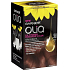 Garnier Olia Ammonia Free Hair Color 5.5 Mahogany Brown