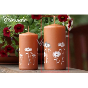 Lima Citronela mosquito repellent candle scented with flowers cinnamon cylinder 60 x 120 mm