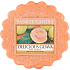 Yankee Candle Delicious Guava - Delicious guava scented wax for aroma lamp 22 g