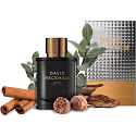 David Beckham Bold Instinct deodorant spray for men 150 ml