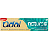 Odol Naturals Mint Clean fluoride toothpaste 75 ml