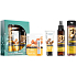 Dr. Santé Argan oil and keratin shampoo for damaged hair 250 ml + hair spray for damaged hair 150 ml + hand cream restoring skin elasticity 75 ml + lip balm 4 g, cosmetic set