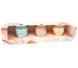 Heart & Home From the Heart + Scent of the Sea + White Grapefruit soy scented candle burns up to 12 hours 3 x 45 g, gift set