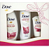 Dove Winter Care Collection nourishing shower gel 250 ml + nourishing body lotion 250 ml + hand cream 75 ml, cosmetic set