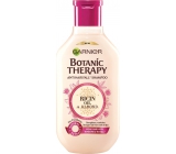Garnier Botanic Therapy Ricinus Oil & Almond shampoo for weak hair with a tendency to fall out 250 ml