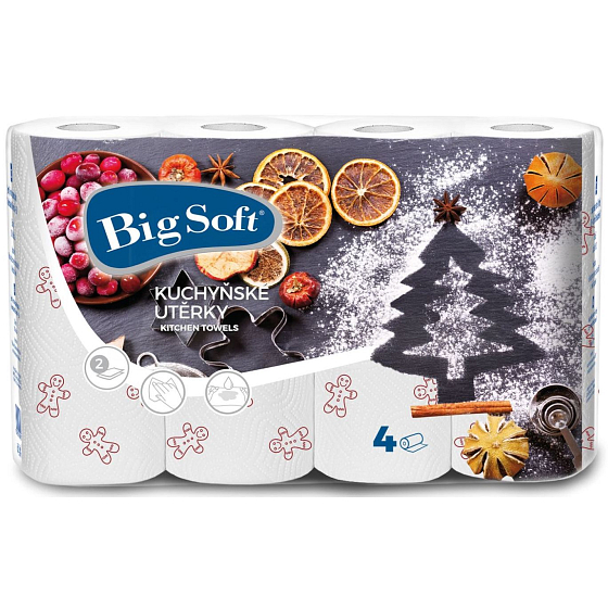 Big Soft Winter paper kitchen towels with print 2 ply 4 pieces