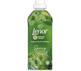 Lenor Spring Boost Bergamot, Aloe Vera & Eucalyptus fabric softener 37 doses 925 ml