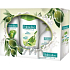Palmolive Olive Milk shower gel 250 ml + soap 300 ml + shampoo 200 ml, cosmetic set