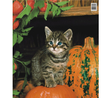 Press Plastic bag 45 x 50 cm Cat and pumpkin 1 piece