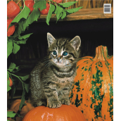 Press Plastic bag 45 x 50 cm Cat and pumpkin 1 piece