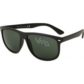 Fx Line Sunglasses 4230A