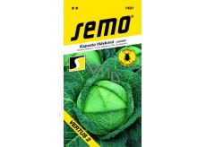 Semo Late head cabbage Vertus 2 0,8 g