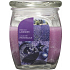 Bolsius Aromatic French Lavender - French Lavender scented candle in glass 92 x 120 mm 830 g, burning time 100 hours