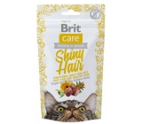 Brit Care Cat Snack Shiny Hair Salmon Dainty semi-soft supplement for cats 50 g