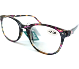 Berkeley Reading dioptric glasses +2.0 plastic blue-purple-brown 1 piece MC2198