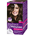 Schwarzkopf Perfect Mousse Permanent Foam Color Hair Color 500 Medium Brown