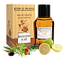 Jeanne en Provence Men Bois D Olivier & Cade eau de toilette 100 ml