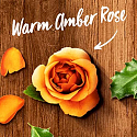 Air Wick Reed Diffuser Essential Oils Warm Amber Rose - Scent of amber rose incense sticks air freshener 30 ml