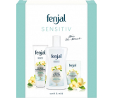 Fenjal Sensitive shower gel 200 ml + hand cream 75 ml + cream toilet soap 100 g, cosmetic set