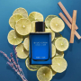 Boucheron Singulier eau de parfum for men 100 ml