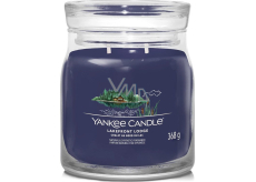 Yankee Candle Lakefront Lodge - Cottage by the lake scented candle Signature medium glass 2 wicks 368 g