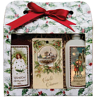 Bohemia Gifts Christmas Gift Set Shower Gels 2× 100 ml + Scented Card Apple and Cinnamon