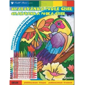 Coloring book by numbers with 10 parrots parrot 29 x 24 cm