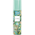 C-Thru Mood Oasis Vibrant Matcha Refreshing Body Spray for Women 200 ml
