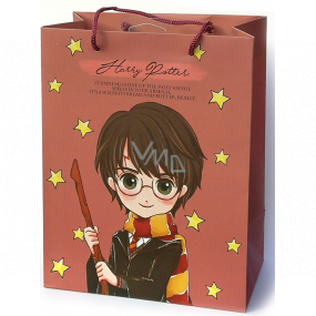 Epee Merch Harry Potter - Harry gift paper bag 18 x 22,5 x 10 cm