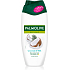 Palmolive shower gel Naturals Coconut & Milk, 250 ml