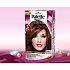 Schwarzkopf Palette Deluxe hair color 667 copper 115 ml