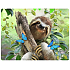 Prime3D postcard - Sloth 16 x 12 cm