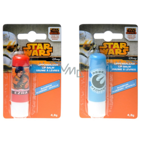 Disney Star Wars Lip Balm for Children 4.8 g