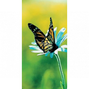 Albi Magnetic bookmark for the book Butterfly on a Flower 8.7 x 4.4 cm