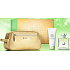 Versace Versense eau de toilette 100 ml + body lotion 100 ml + bag, gift set for women