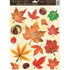 Window foil without glue autumn leaves with chestnuts 42 x 30 cm 1 piece